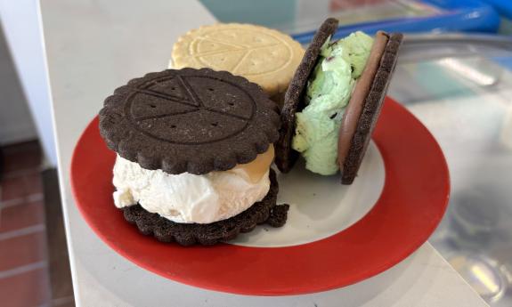 Samples of ice cream sandwiches