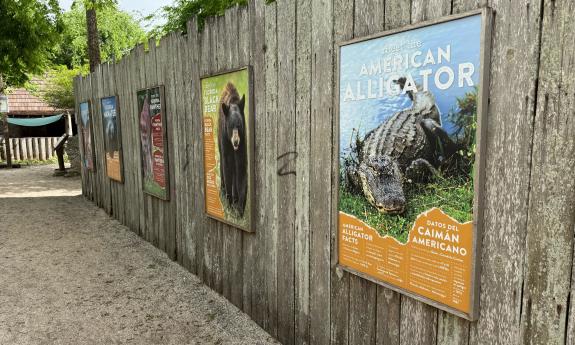 A fence with photos and descriptions of wild animals native to the Florida's First Coast