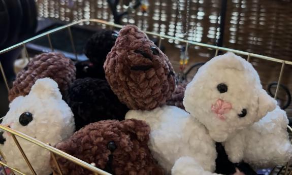 Cat toys for your furry feline available at Witty Whisker