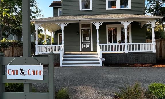 The exterior of the 7 Old Mission Avenue location for Witty Whisker Cat Cafe in St. Augustine
