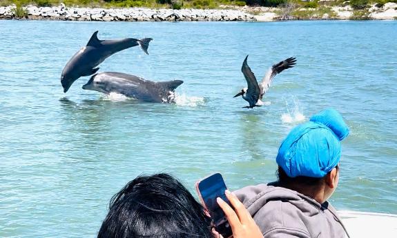 Guests aboard a small charter boat enjoying dolphins