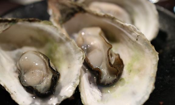 Fresh oysters on the half shell, ready for sauce