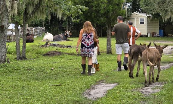 A family touring the farm alongside animals