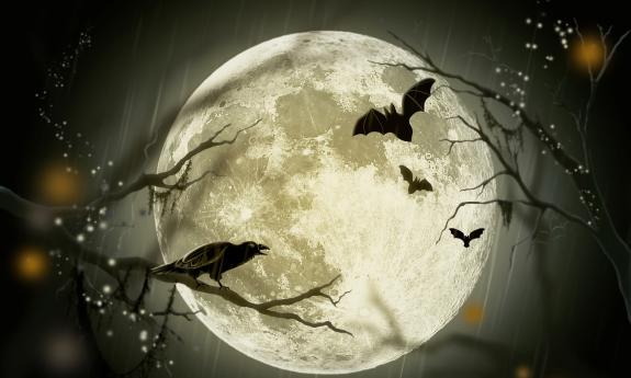 A black night, with a full moon, a raven, a bat, and tree limbs without leaves