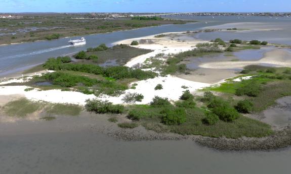 A view of the lands bordering Hospital Creek in St. Augustine