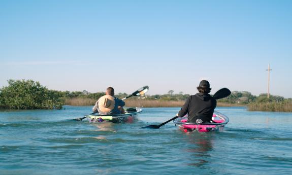Two kayakers paddling near shore
