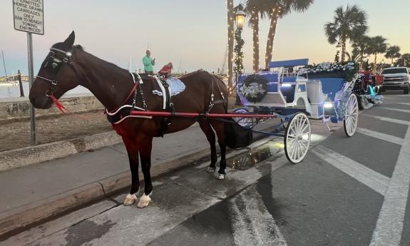 A horse hitche to an open carraige that is decorated for the Nights of Lights celebration