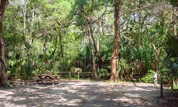 Campsite at Anastasia State Park