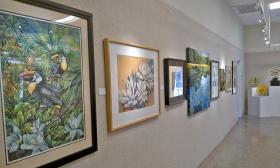 The St. Augustine Art Association hosts its annual Nature and Wildlife Exhibit.