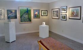 The St. Augustine Art Association hosts its annual Nature and Wildlife Exhibit.