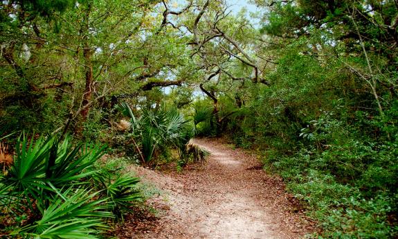 10 Ways to Get Outdoors in the Fall