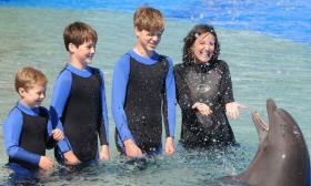 Stop at Marineland Dolphin Adventure on your way to Daytona for a friendly inter-species swim.