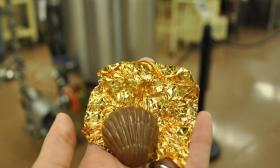St. Augustine's Toffee Crunch Shell from Whetstone Chocolate.