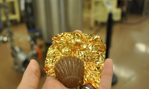 St. Augustine's Toffee Crunch Shell from Whetstone Chocolate.