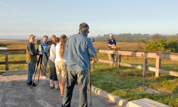 Florida's Birding & Photo Fest - 2024