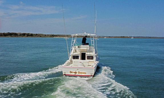 Drop Down Sport Fish Charters