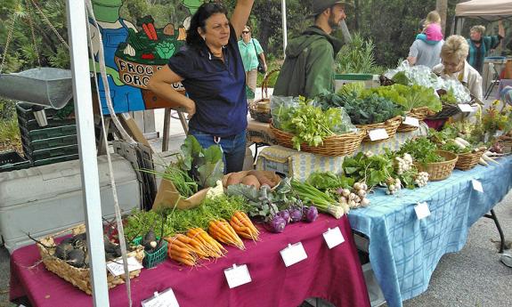 Amphitheatre Farmers Market