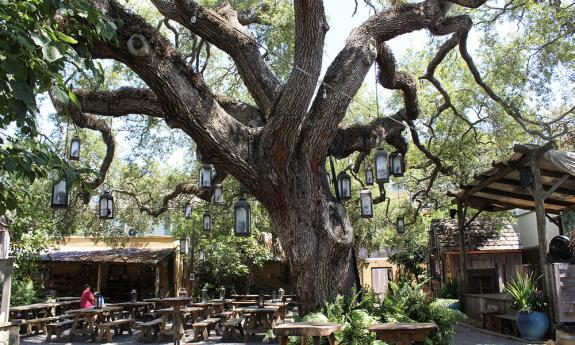 A rustic, romantic venue, Colonial Oak Music Park hosts entertainers throughout the year. 