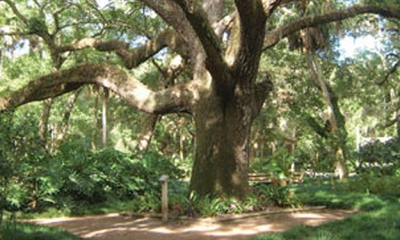 National Trails Day at Washington Oaks