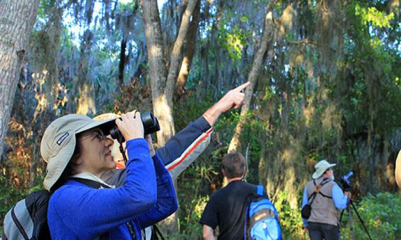 Bird Walk at Fort Matanzas