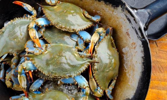 Blue Crab Festival 2024