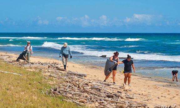 Shoreline Clean-Up at Fort Matanzas