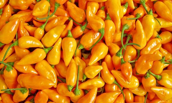 Datil Pepper Festival 2020