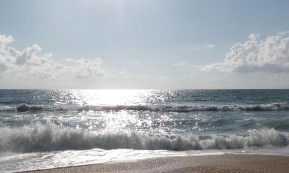 The GTM Research Reserve will host a guided beach hike on the third Saturday of each month. 