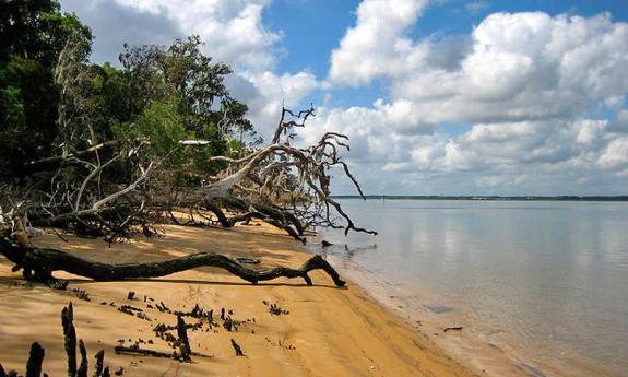 Matanzas Inlet and Beach Walk