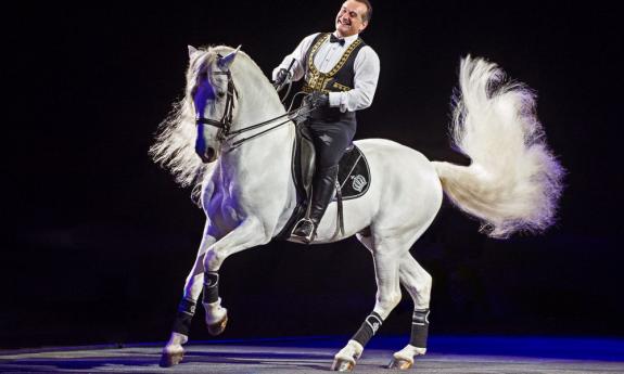 Rene Gasser aboard one of his Royal Horses, coming to St. Augustine.