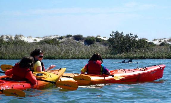 Kayak Faver-Dykes State Park