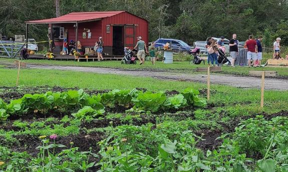 Visitors at the Wesley Wells farms and gardens