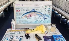 Dolphin educational materials on a Florida Water Warriors cruise in St. St. Augustine.