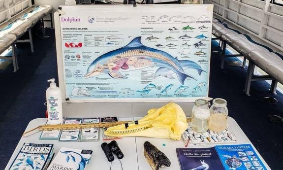 Dolphin educational materials on a Florida Water Warriors cruise in St. St. Augustine.