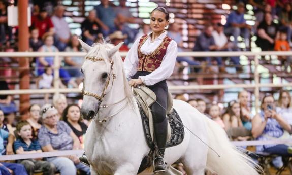 A beautiful white horse, being ridden in the show, Gala of the Royal Horses.