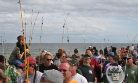 The Kingfish Challenge now includes three fishing divisions in a world-class three-day tournament. 