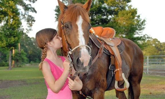 Haven Horse Ranch — CLOSED