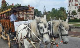 The Tasting Tours horse-drawn carriage