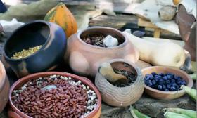 Samples of foods that werre common in 18th-century Spanish colonial Florida will be available at the Harvest Time event at Fort Mose. Photo by Jackie Hird.