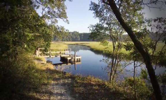 A water view along one of the nature trails at Moses Creek Conservation