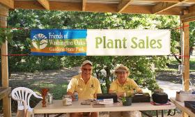 Second Saturday Plant Sale 