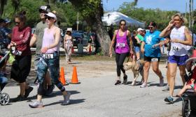 Walkers and walkers with dogs and strollers enjoying Race to the Taste in St. Augustine.