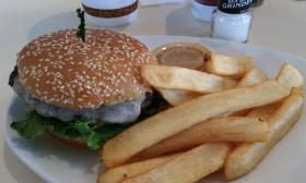 A plated burger and fries meal