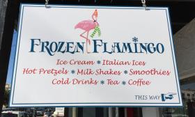 Frozen Flamingo Ice Cream -- CLOSED