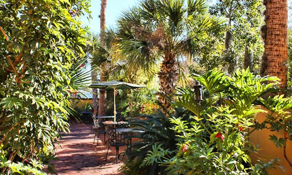 Scenic patio with plenty of shade at Old City House Restaurant.