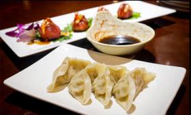 Dumplings and Appetizers at Sushi Zento & Grill in St. Augustine.