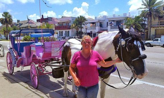 Southern Carriages — CLOSED