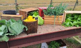 A farm stand with local produce in St. Augustine.