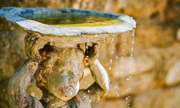 The decor at the Collector Luxury Inn extends to their exterior, including this charming fountain.