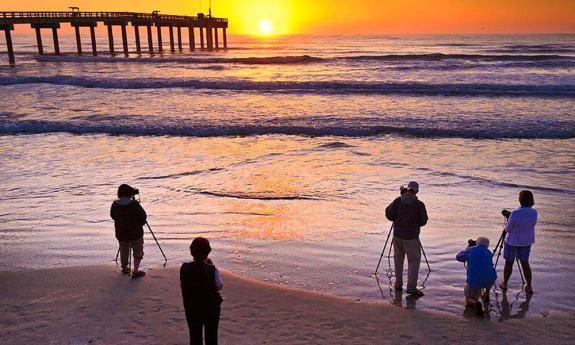 Florida's Birding & Photo Fest - 2024